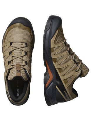 Moški pohodni čevlji Salomon X Adventure Recon GTX